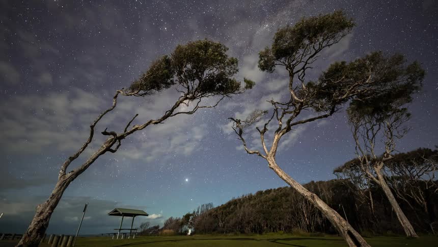 A beautiful timelapse captures the Milky Way galaxy rotating through the night sky between two dramatically windswept trees