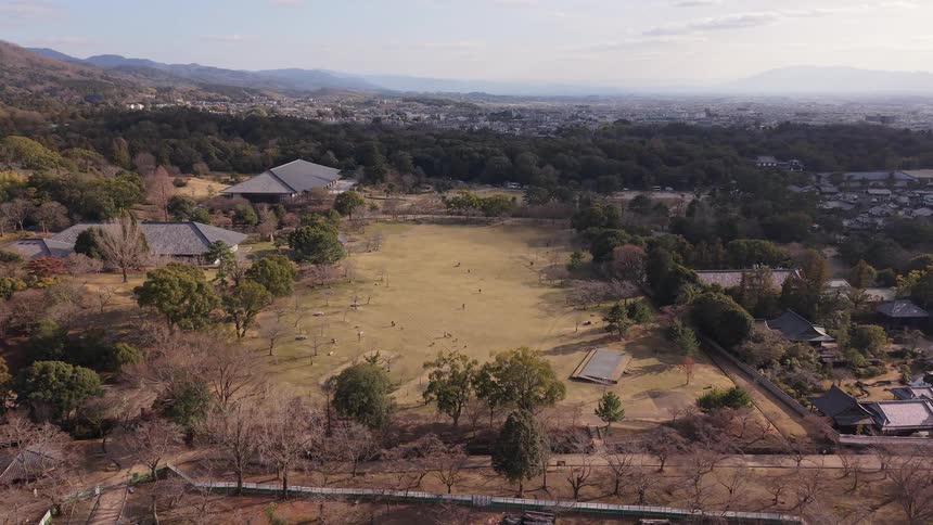 Static aerial shot captures people enjoying a large grassy park in Nara, Japan, with the city and mountains in the distance