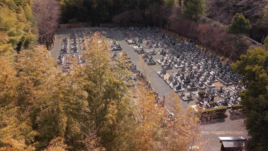 Slow aerial push-in shot over golden trees revealing a large, traditional Japanese cemetery