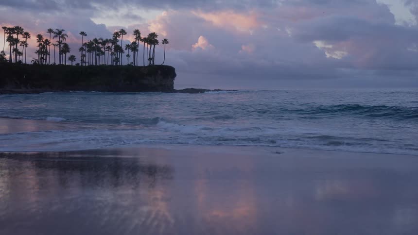 Slow-motion waves wash ashore on a tranquil beach at dusk with a palm tree-lined cliff in the distance