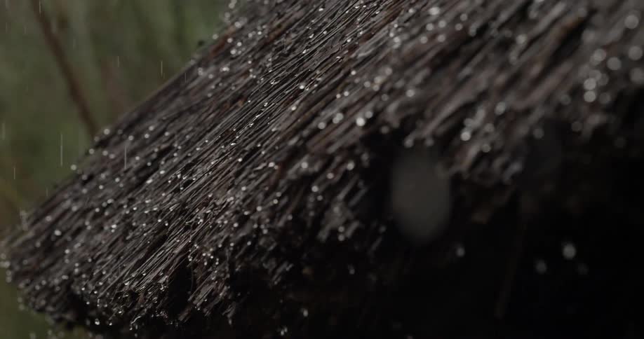 Rain on a thatch roof