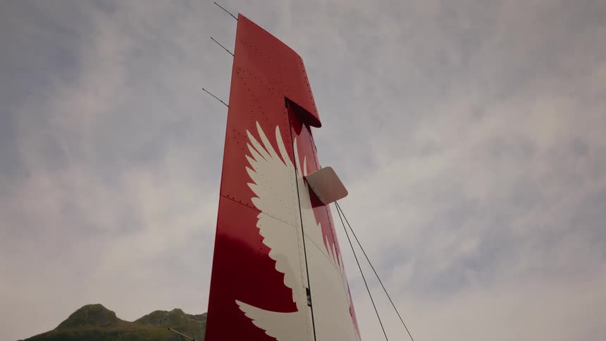 The red tail fin of a small aircraft featuring a white bird logo stands still against a cloudy sky with a green mountain in the background