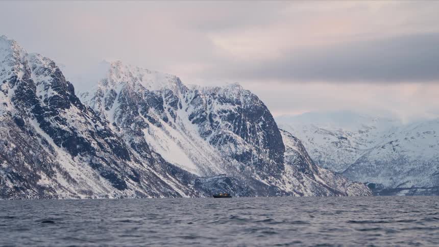 Majestic snow-covered mountains tower over a calm fjord as whales surface and a lone boat sails by