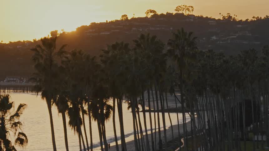 An aerial view of the Santa Barbara coastline lined with tall palm trees as the golden sun sets behind the hills