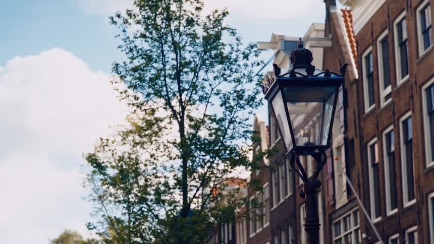 A gentle breeze rustles the leaves of a tree behind a classic street lamp on a quiet Amsterdam street
