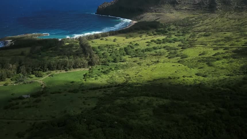Blue ocean waters flowing onto beach surrounded by lush green coast land