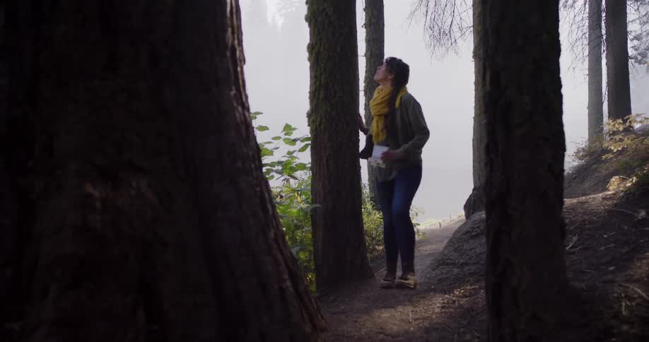 A woman in a yellow scarf walks through a foggy forest in slow motion, admiring the towering trees