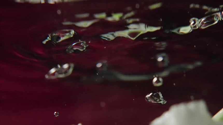 Ethereal slow-motion shot of a white flower gracefully moving underwater against a vibrant red background