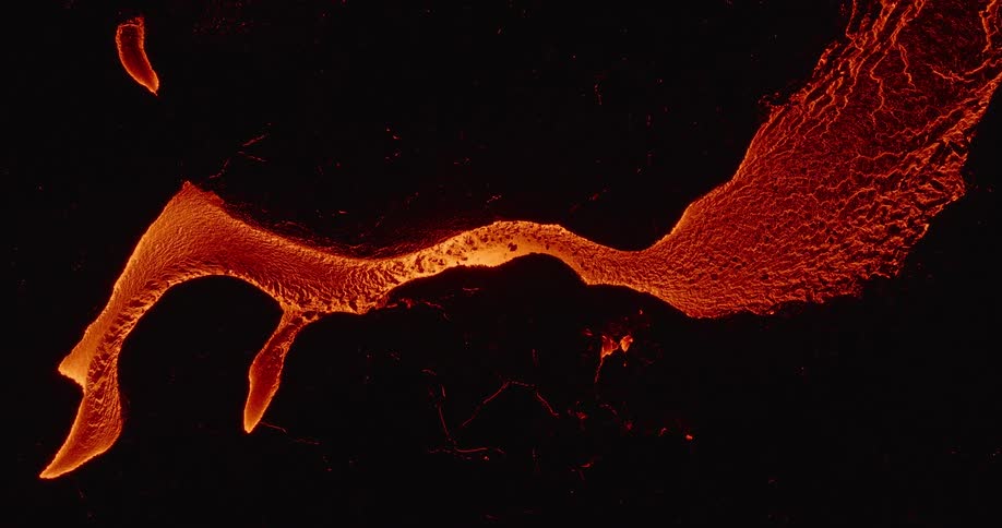 A mesmerizing aerial view shows a glowing river of molten lava slowly flowing across a dark, solidified landscape