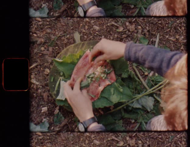 Vintage super 8 film shows a person's hands seasoning a raw piece of meat with fresh herbs on a bed of leaves outdoors