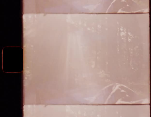 Authentic vintage super 8mm footage shows a tranquil forest view from inside a tent as the sun rises