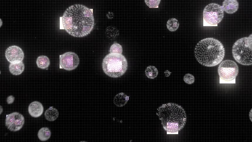 Abstract animation of futuristic, digital microbe-like particles glowing and glitching on a dark grid