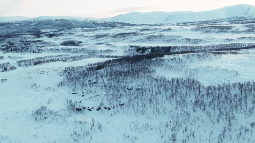 A serene aerial view flies over a vast, snow-covered mountain landscape dotted with sparse forests