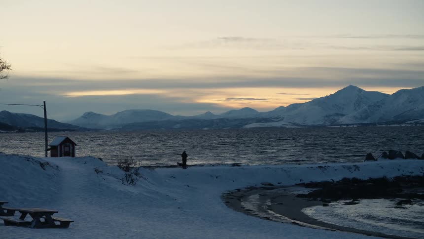 A person and their dog watch birds fly over the ocean from a snowy shoreline with mountains in the distance
