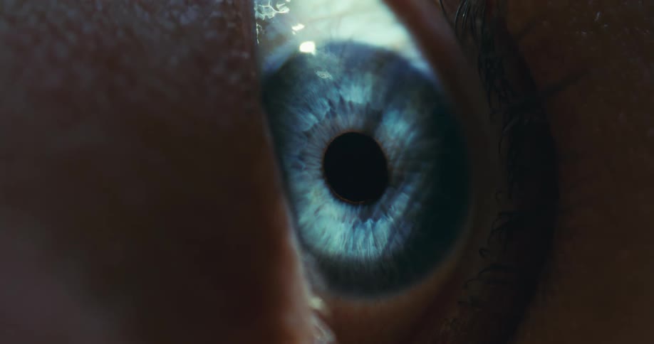 A stunning macro shot reveals the intricate details of a beautiful blue eye as it opens