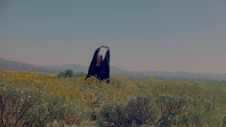 A dancer with long red hair performs an expressive, martial arts-inspired routine in slow motion while standing in a field of yellow wildflowers