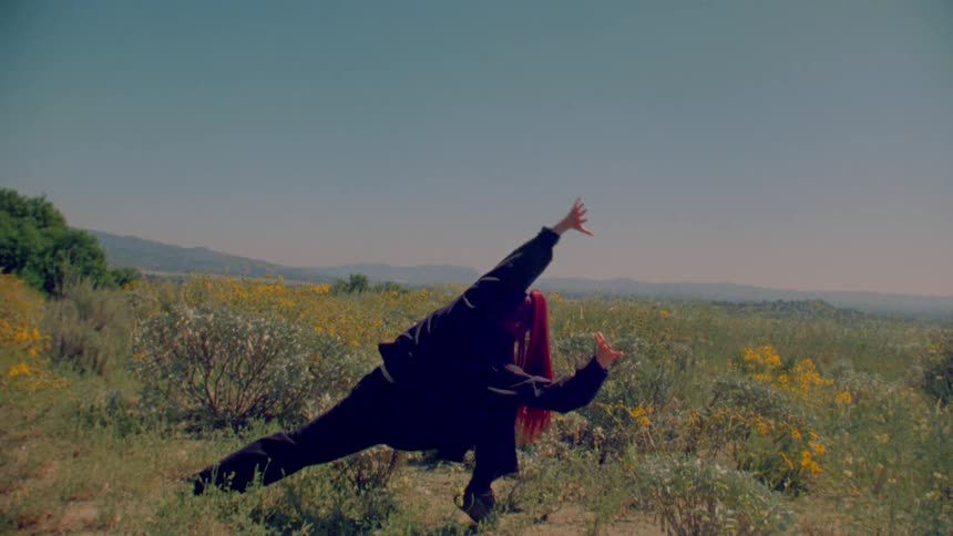 A woman with vibrant red hair performs a slow, flowing dance inspired by martial arts in a sunny field of wildflowers