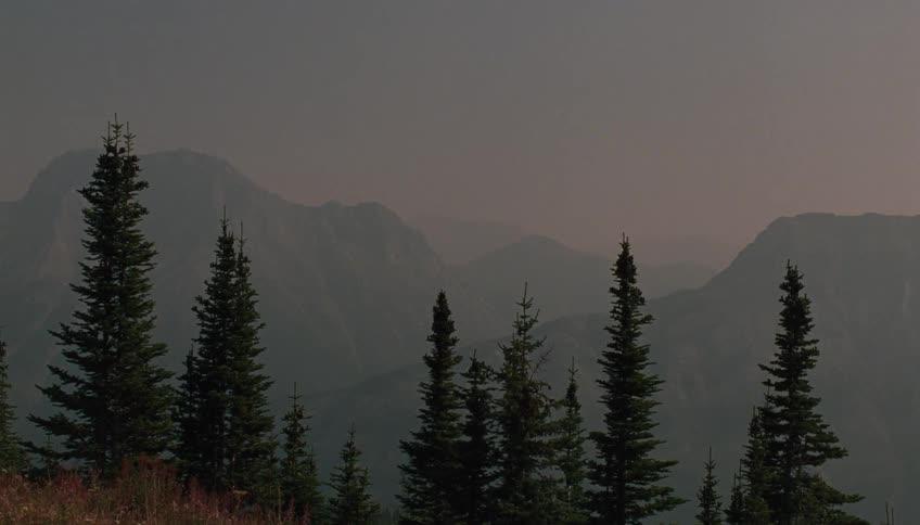 Pine trees frame a hazy mountain range
