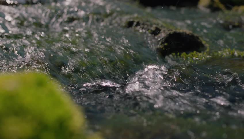 Sunlight glints on a shallow, mossy stream as it flows over rocks in slow motion