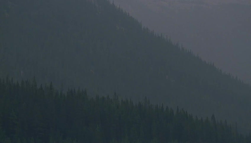 Misty air is seen over a dark, dense mountain forest