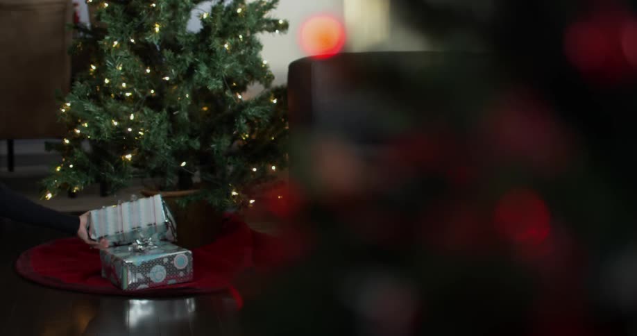 A person places a wrapped present under the christmas tree