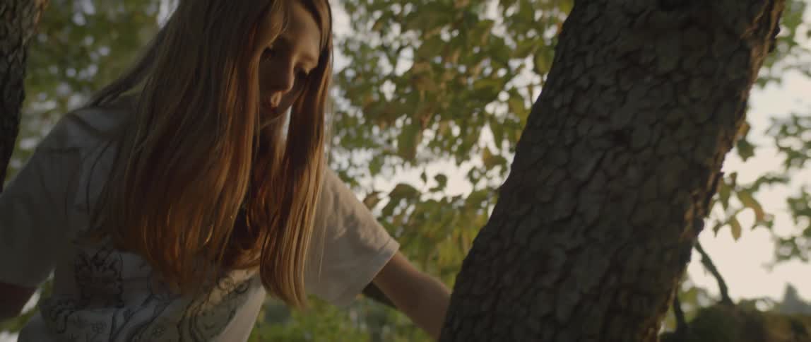 Little girl climbing a tree as the sun goes down