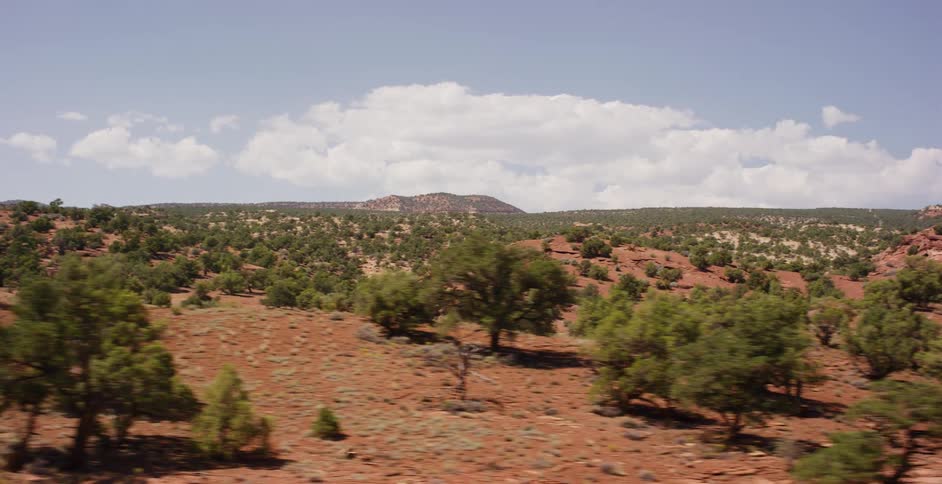 A slow tracking shot across a vast desert canyon landscape with red soil and green foliage