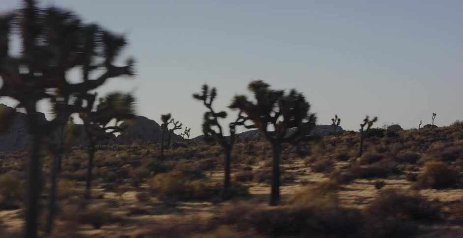 A scenic driving shot passes through the iconic desert landscape of Joshua Tree National Park