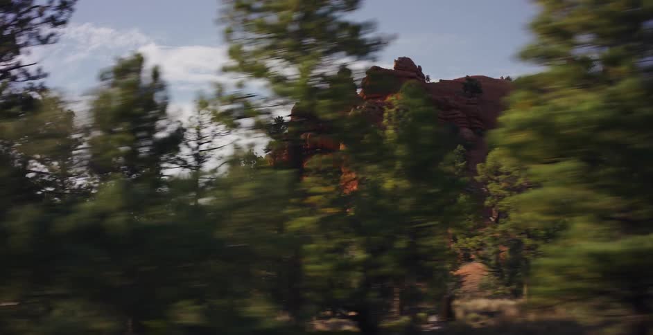 Driving past vibrant red rock formations peeking through a dense pine forest on a scenic road trip