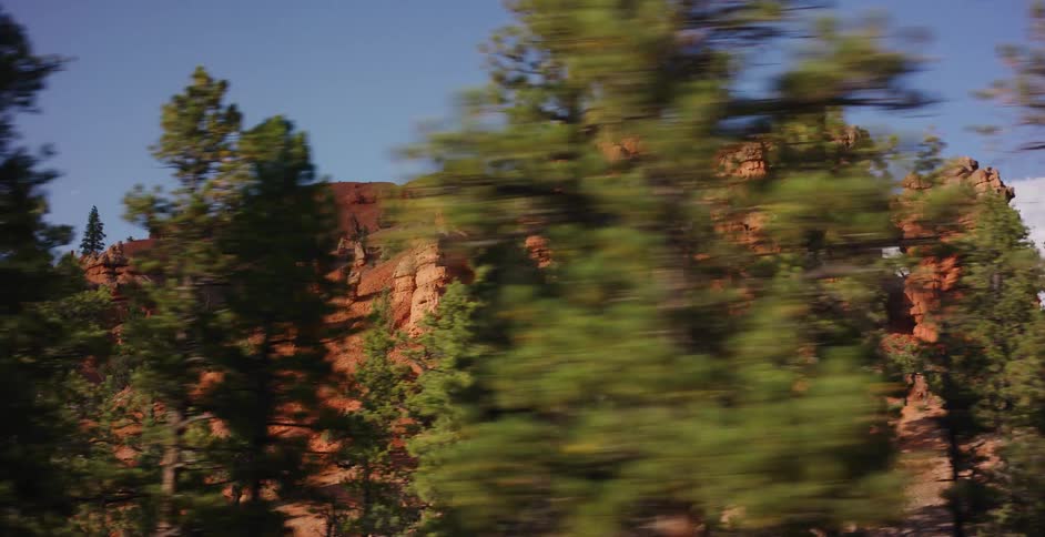 A scenic drive reveals majestic red rock spires peeking through a blur of lush green pine trees