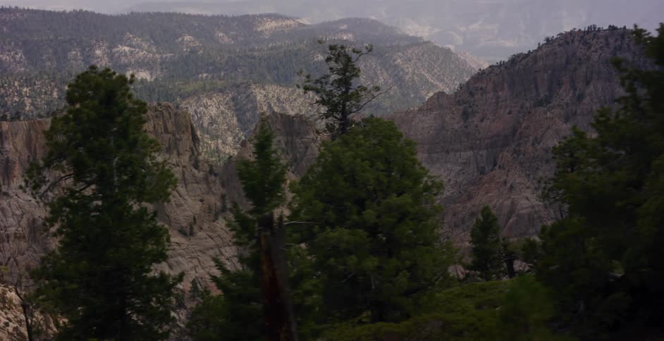 Driving past a dense pine forest revealing a vast and rugged mountain landscape
