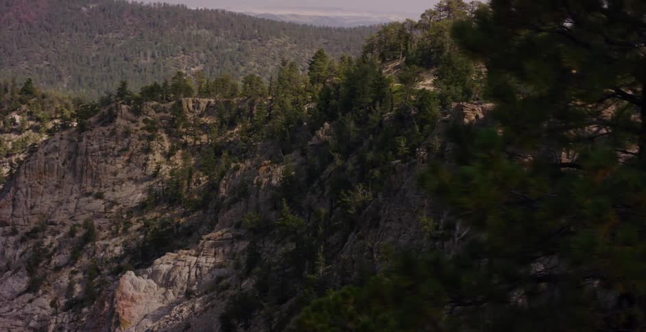The camera pans past a swaying pine tree to reveal a dramatic, forested mountain ridge