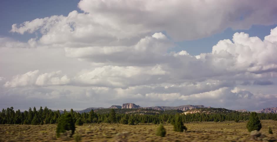 A slow-moving journey across a vast, sunlit plain reveals a line of pine trees and distant mesas under a grand, cloudy sky
