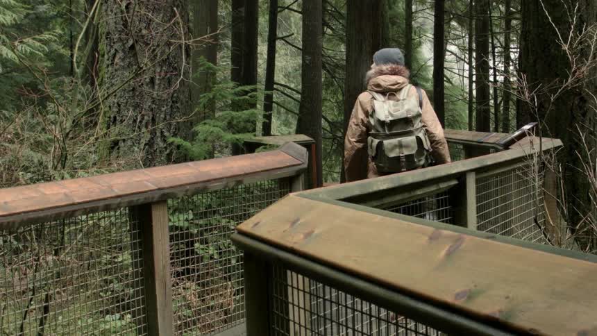 A person walks on a fenced path