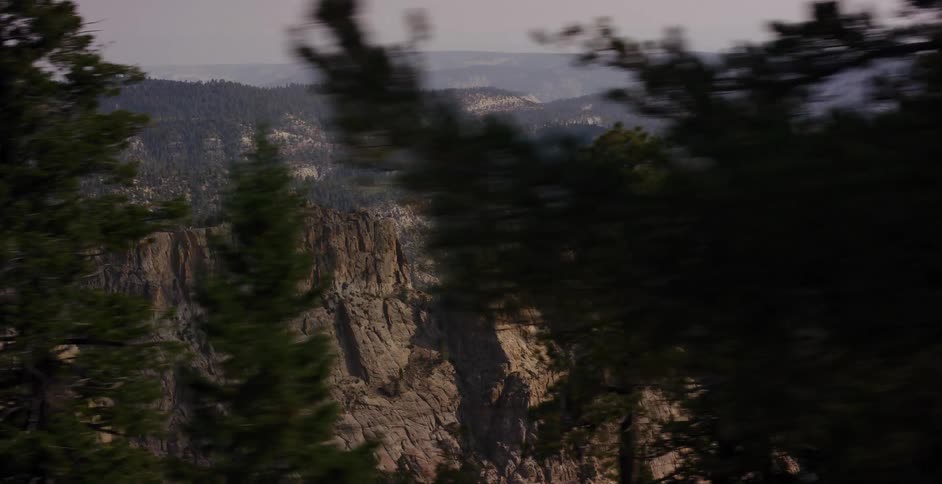 A scenic drive reveals a vast and rugged mountain canyon landscape through passing evergreen trees