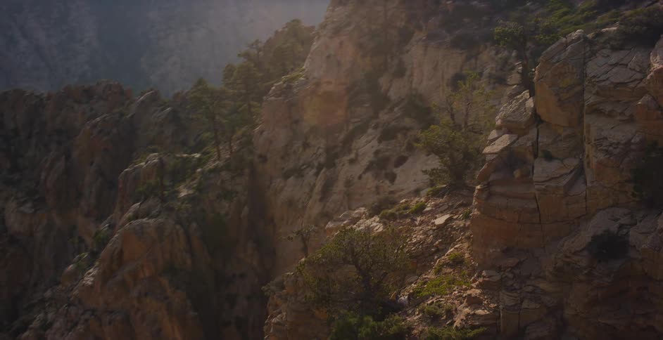 A slow pan over a rocky, tree-lined cliff edge reveals the vast and rugged mountain canyon below