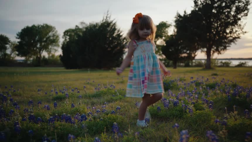 A carefree little girl joyfully dances through a beautiful field of bluebonnet flowers at sunset