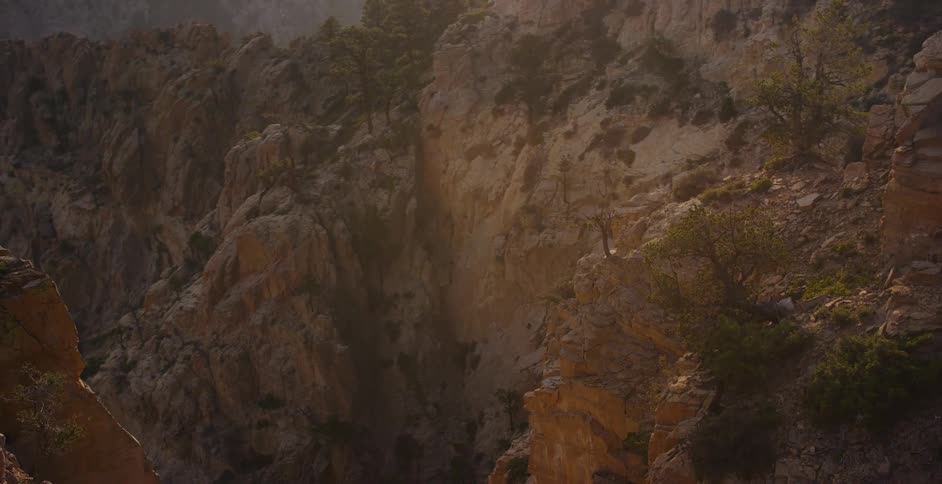 The camera glides past pine trees to reveal a deep and rugged canyon with steep rock faces during a hazy golden hour