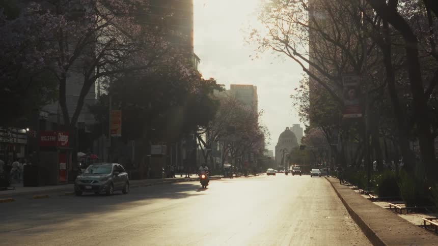 A slow motion view of a city street in Mexico City with the Monumento a la Revolución in the background, as traffic moves under sunlit jacaranda trees