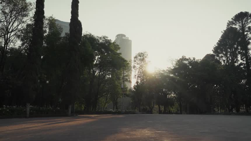 A peaceful urban park at sunrise with a modern skyscraper visible through the trees