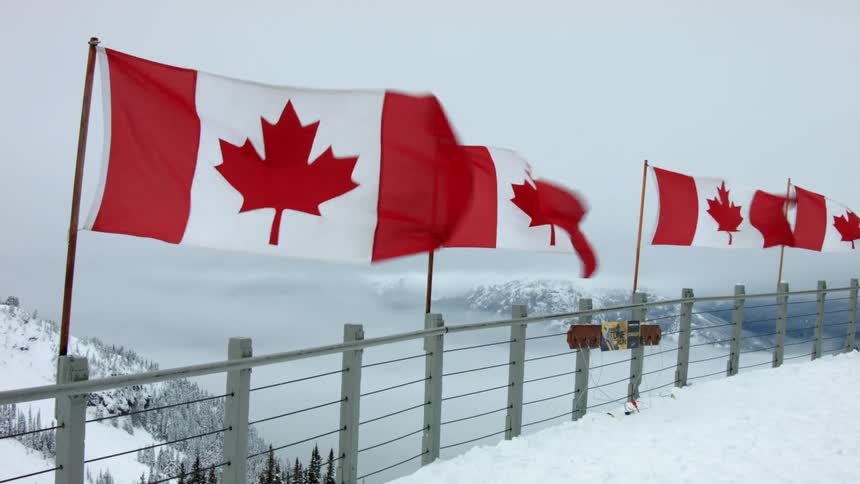 Four canadian flags sway in the wind up top a snowy mountain
