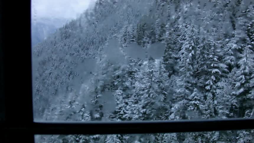 A lift is moving past the trees on a mountain