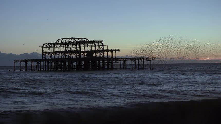 A large flock of birds flies in the air near a derelict pier at the beach