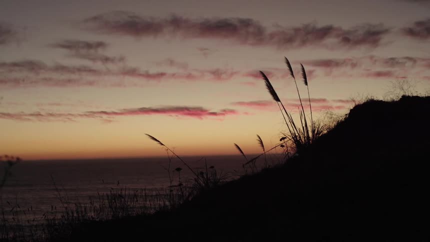The grass near the shore is blowing in the wind at dawn