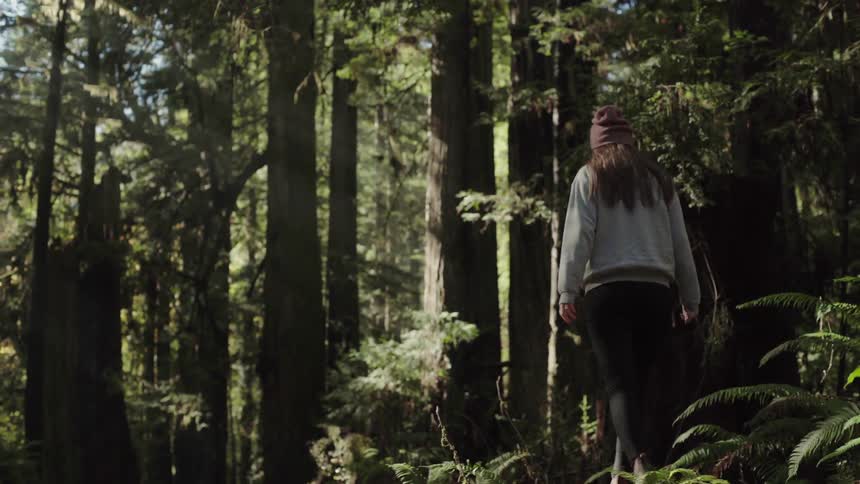 A woman is hiking just off the trail in a forest