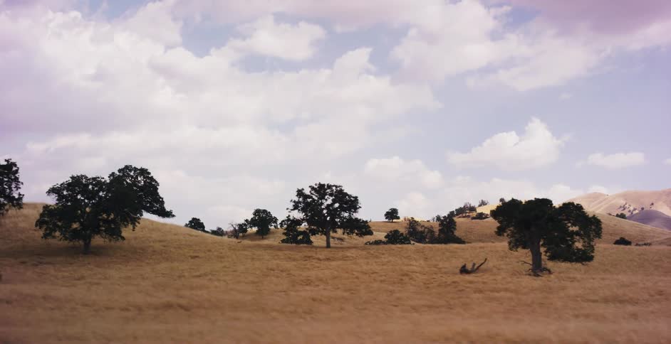 Cinematic slow-motion shot driving past golden, rolling hills and scattered oak trees under a partly cloudy sky