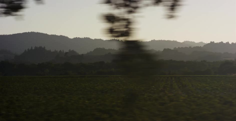 Passing by a tranquil vineyard and layered, hazy hills from a car window at sunrise