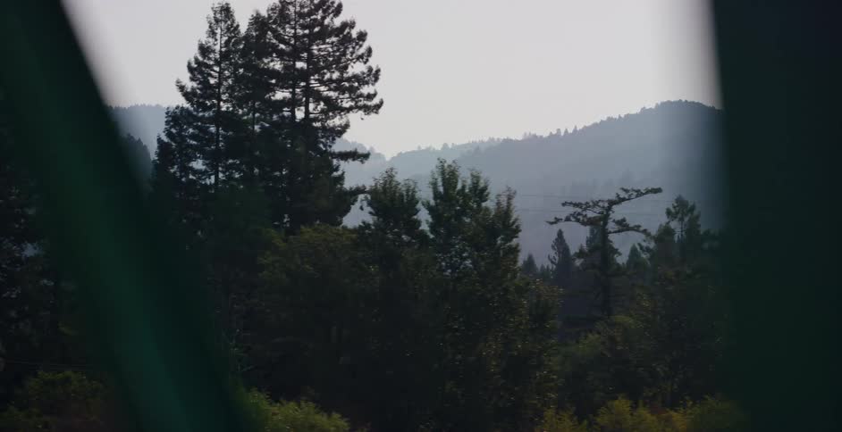 Scenic view of hazy green mountains and lush forest trees from a moving perspective