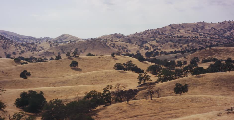A vintage silver Ford Mustang drives along a winding country road through vast, golden rolling hills in California