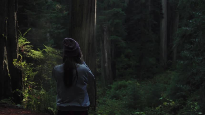 A woman walks into the forest and takes a picture
